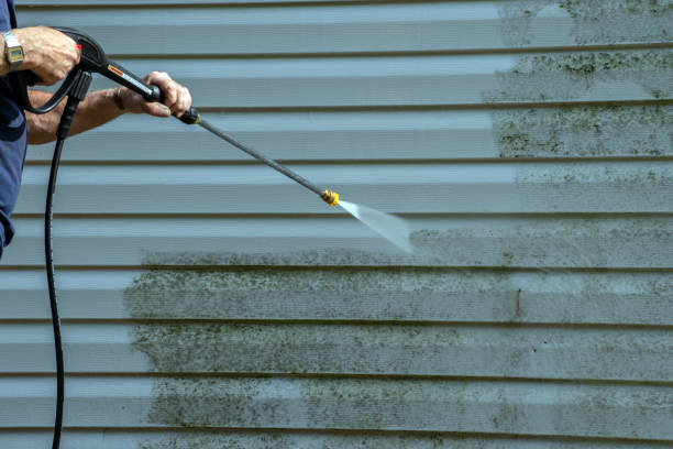 Professional Pressure Washing Services in Brighton, IL